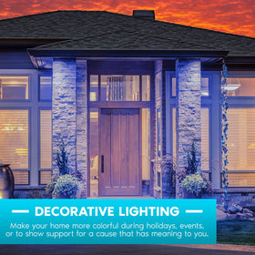 LUXRITE A19 blue bulb damp location rated for porches and patios