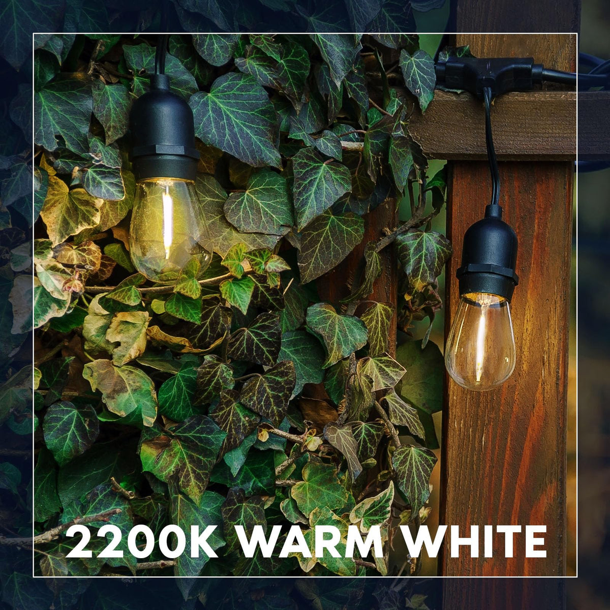 Luxrite energy-efficient bulbs consume less than 1 watt each for lower power usage