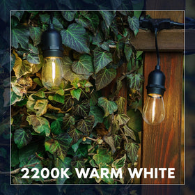 Luxrite energy-efficient bulbs consume less than 1 watt each for lower power usage