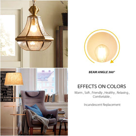 LVWIT A19 LED Filament Bulb with E26 base installs in standard fixtures.