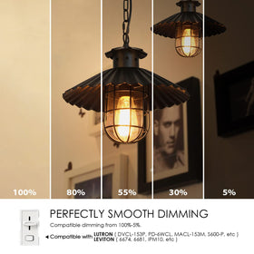 LVWIT retro-style filament bulb adds vintage charm to any room