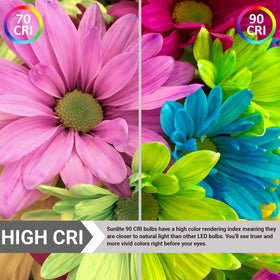 LVYE CRI >90+ LED ensures vibrant colors in artwork and decor.