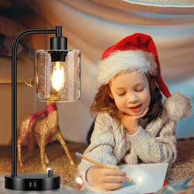 Lynnoland seed glass shade cylinder on floor lamp highlighting bulb visibility