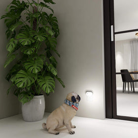 Lyridz 2-pack delivers consistent lighting across spaces