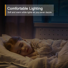 Lyridz six-pack provides multiple zones with safe lighting.