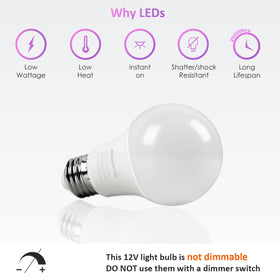 Maelsrlg 12V LED bulb designed for off-grid and solar-powered lighting.