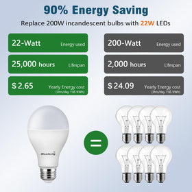 Maelsrlg 200W-equivalent LED bulb with 5000K daylight for workshops