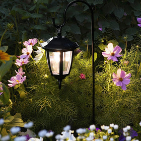 MAGGIFT porch garden setup for decorative outdoor ambiance