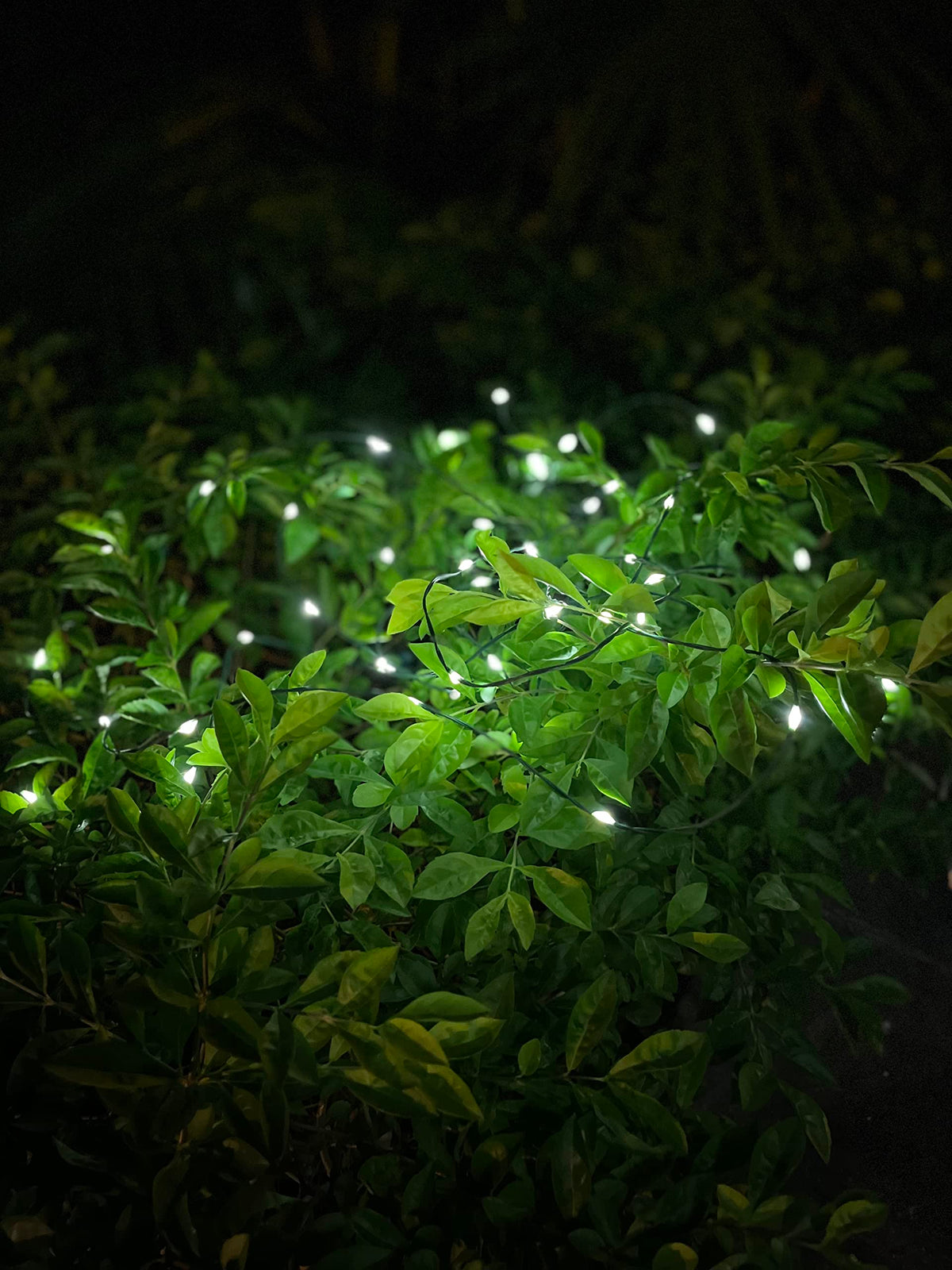 Magicnight IP64 waterproof design withstands rain for year-round garden decor.