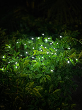 Magicnight IP64 waterproof design withstands rain for year-round garden decor.