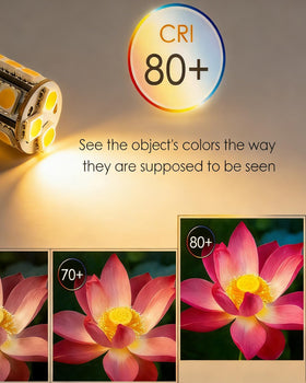 Makergroup T3 G4 LED bulb kit pack 6 for outdoor lighting