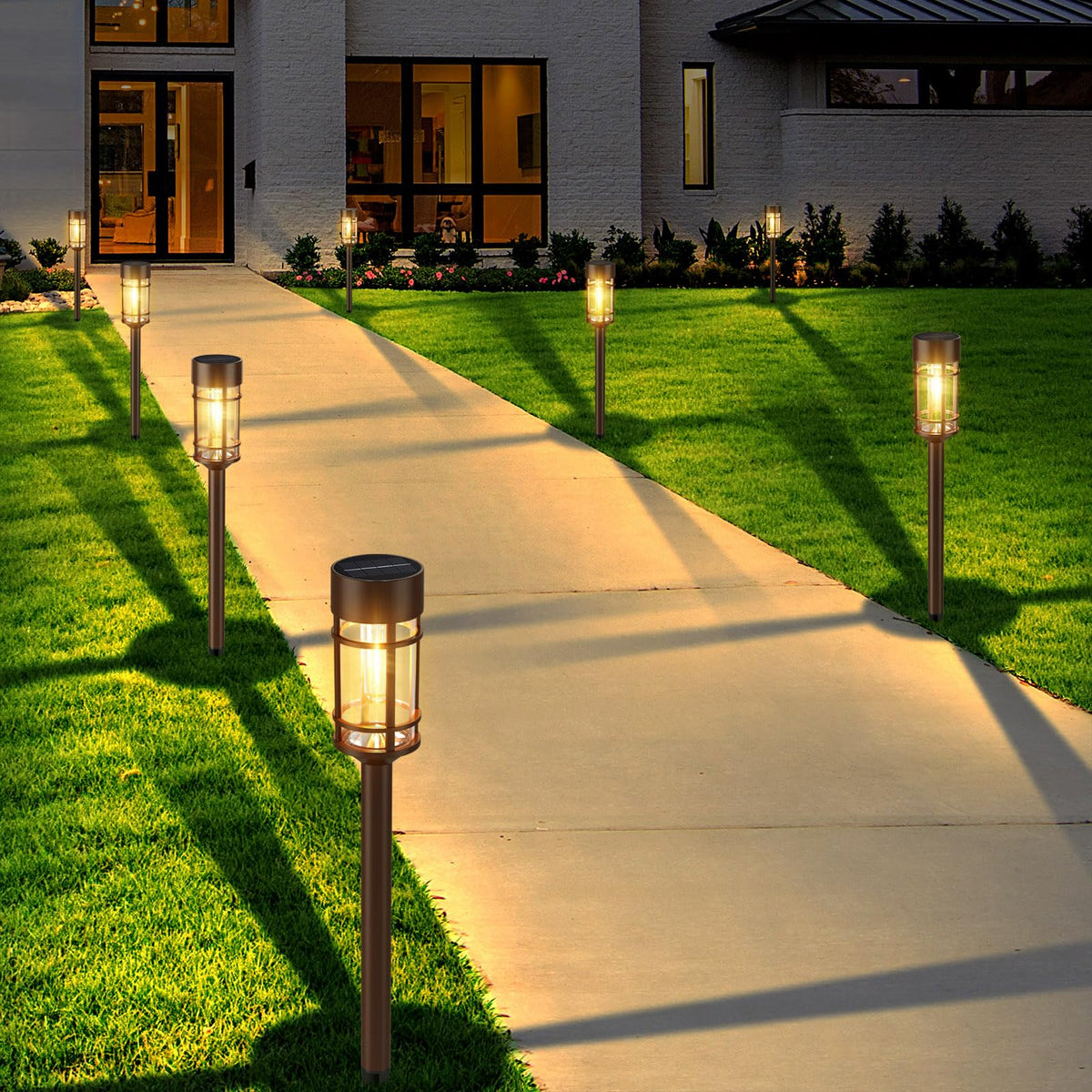 Mancra 8-pack solar pathway lights create welcoming driveways and borders after dusk.