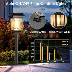Mancra LED filament bulbs provide 3000K warm glow.