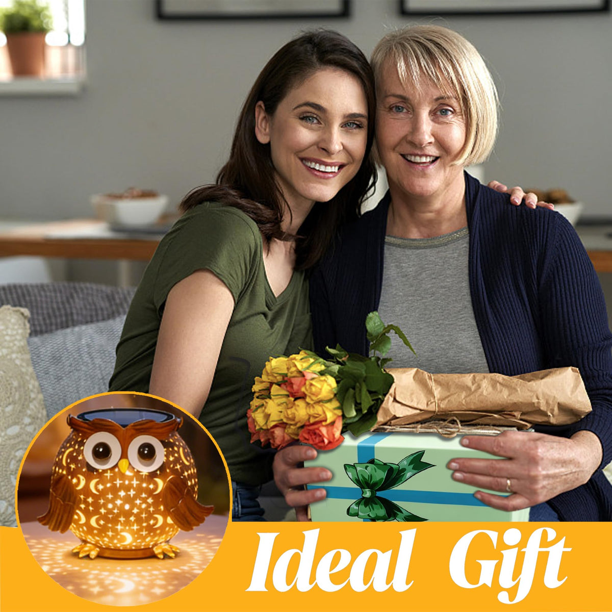 Mantunt solar owl lantern, gift-ready decorative lighting.
