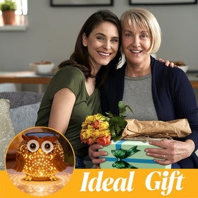 Mantunt solar owl lantern, gift-ready decorative lighting.