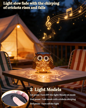 Mantunt solar owl lantern with durable metal veneer for outdoor decor.