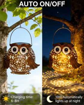 Mantunt solar owl lantern wall-mount lighting along a garden path.