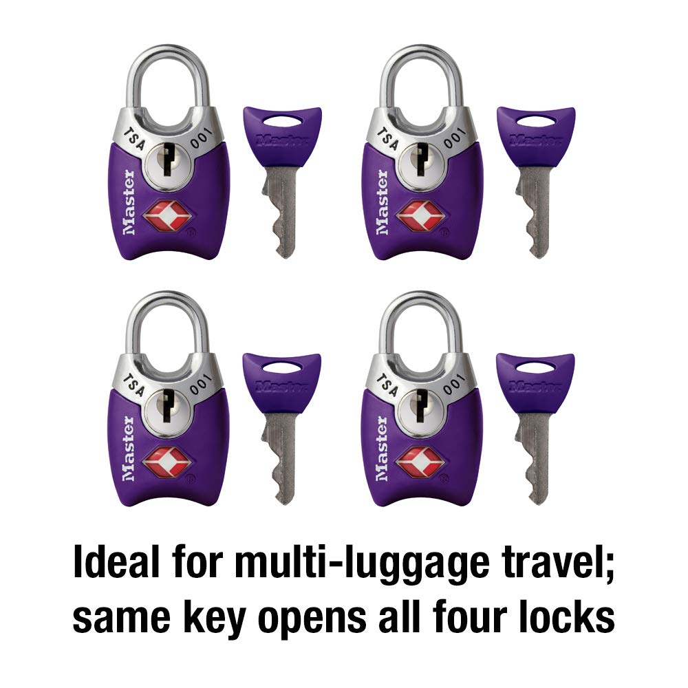 Master Lock 4689Q silver luggage lock, reliable security for baggage.