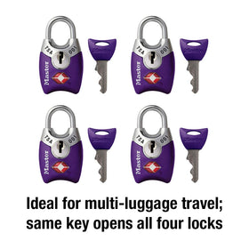 Master Lock 4689Q silver luggage lock, reliable security for baggage.