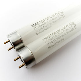 Master Of Light F17T8/CW 24in glow-lit 4100K for bright workspace
