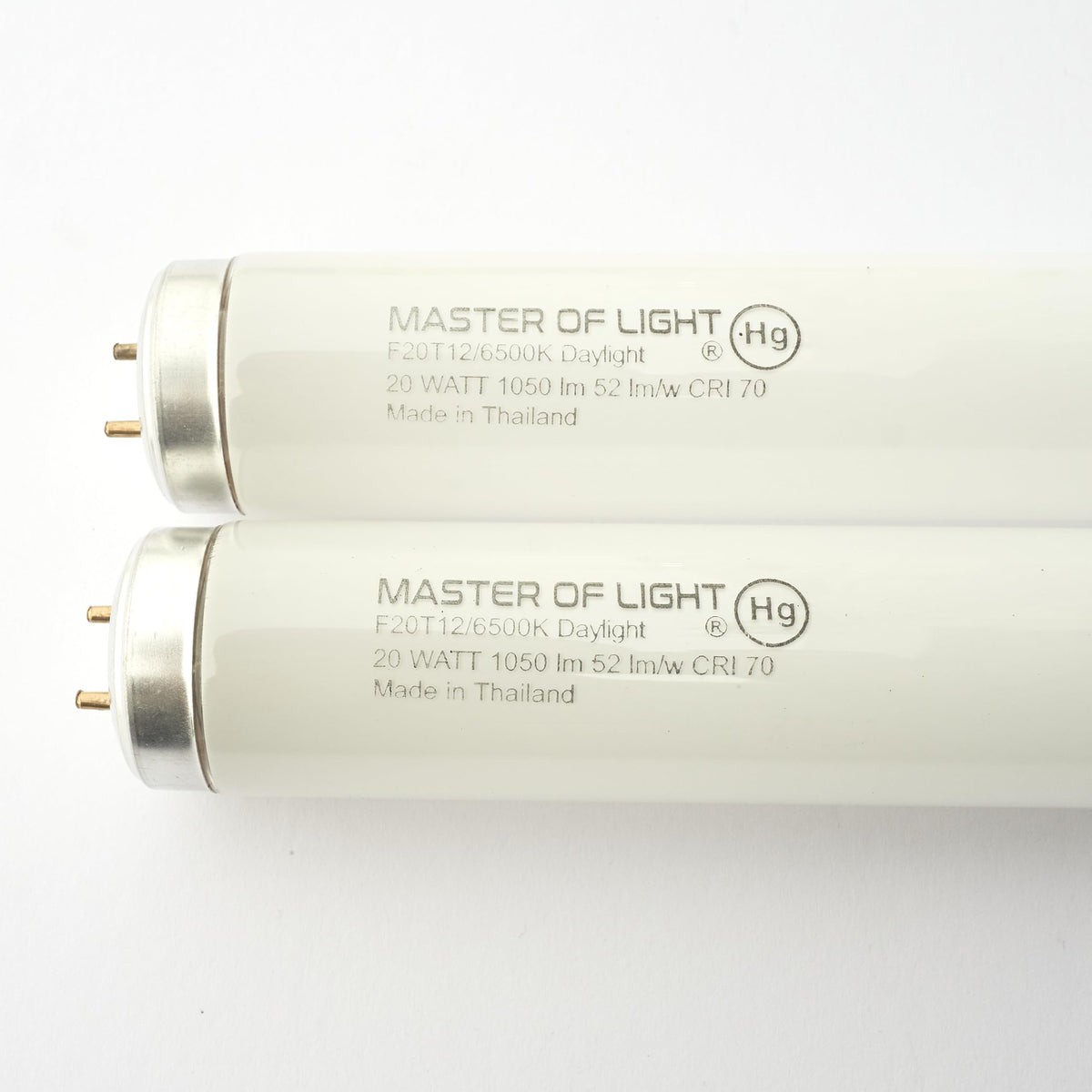Master Of Light F20T12D 2-pack bulbs front view showing bright daylight output for workspaces.