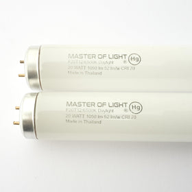 Master Of Light F20T12D 2-pack bulbs front view showing bright daylight output for workspaces.