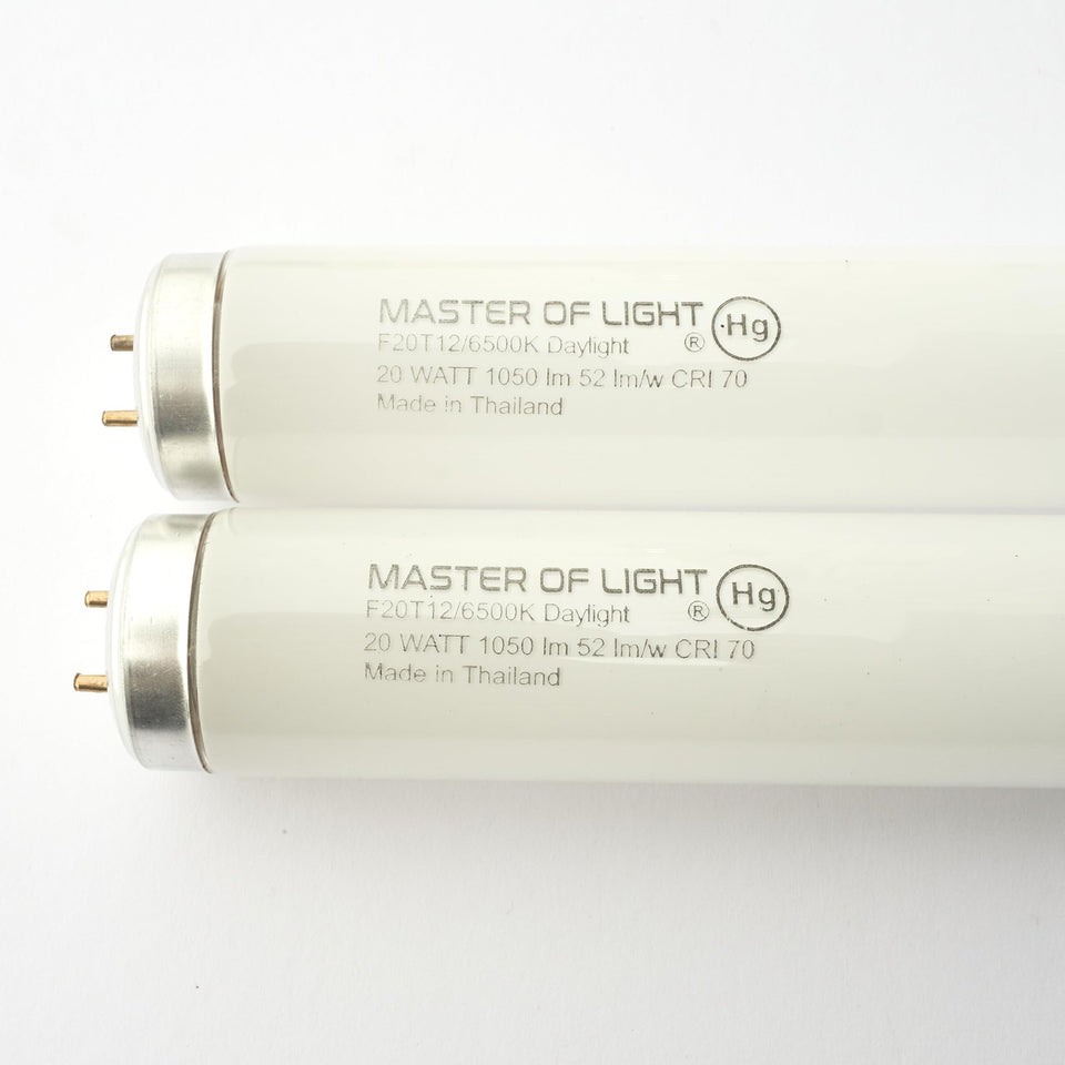 Master Of Light F20T12D 2-pack bulbs front view showing bright daylight output for workspaces.