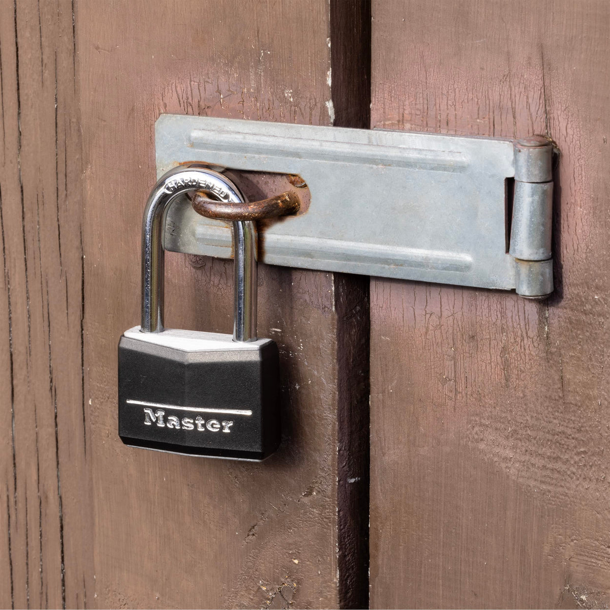 Master Lock 141TLF padlock with hardened steel shackle for cut resistance.
