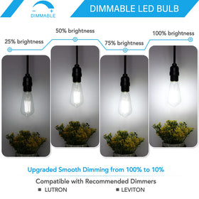 MAXvolador Edison bulb in pendant lighting for clear daytime-friendly light
