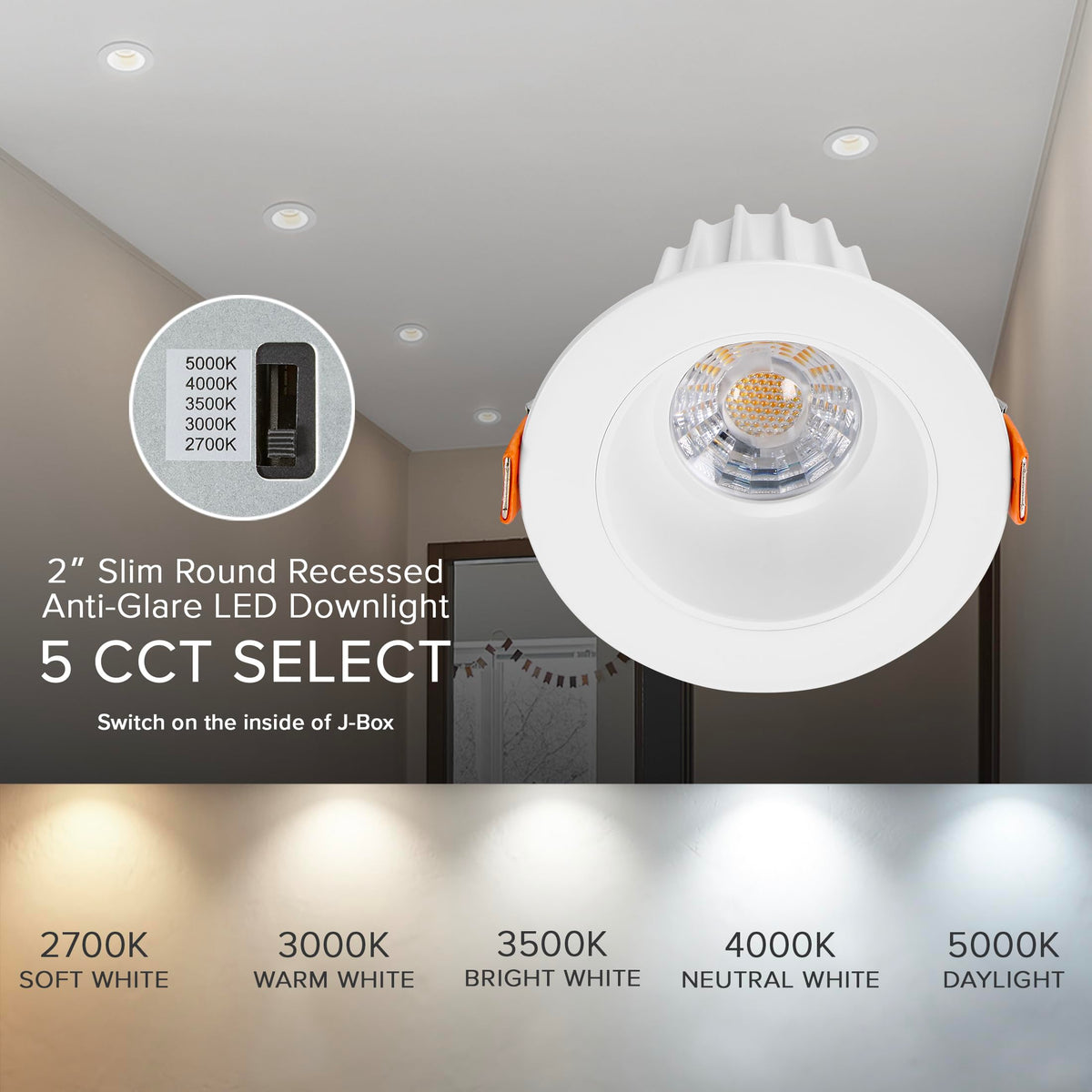 Maxxima downlight dimensions and trim for a clean look