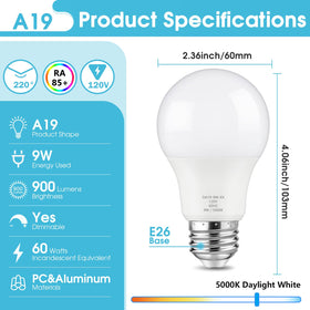 Maylaywood A19 LED bulb 12-pack for consistent home lighting