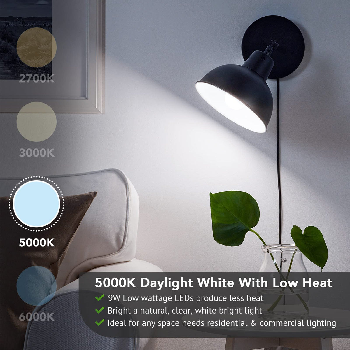 Maylaywood A19 LED bulb offers 5000K daylight for crisp, task-ready lighting.