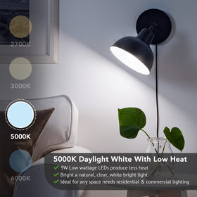Maylaywood A19 LED bulb offers 5000K daylight for crisp, task-ready lighting.