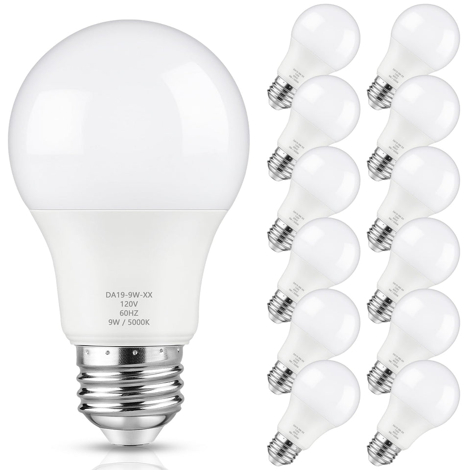 Maylaywood A19 LED bulb dimmable close-up showing smooth brightness control