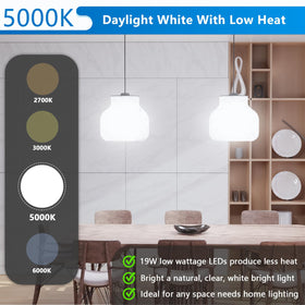 Maylaywood A21 LED bulb with high CRI for accurate color in interiors.