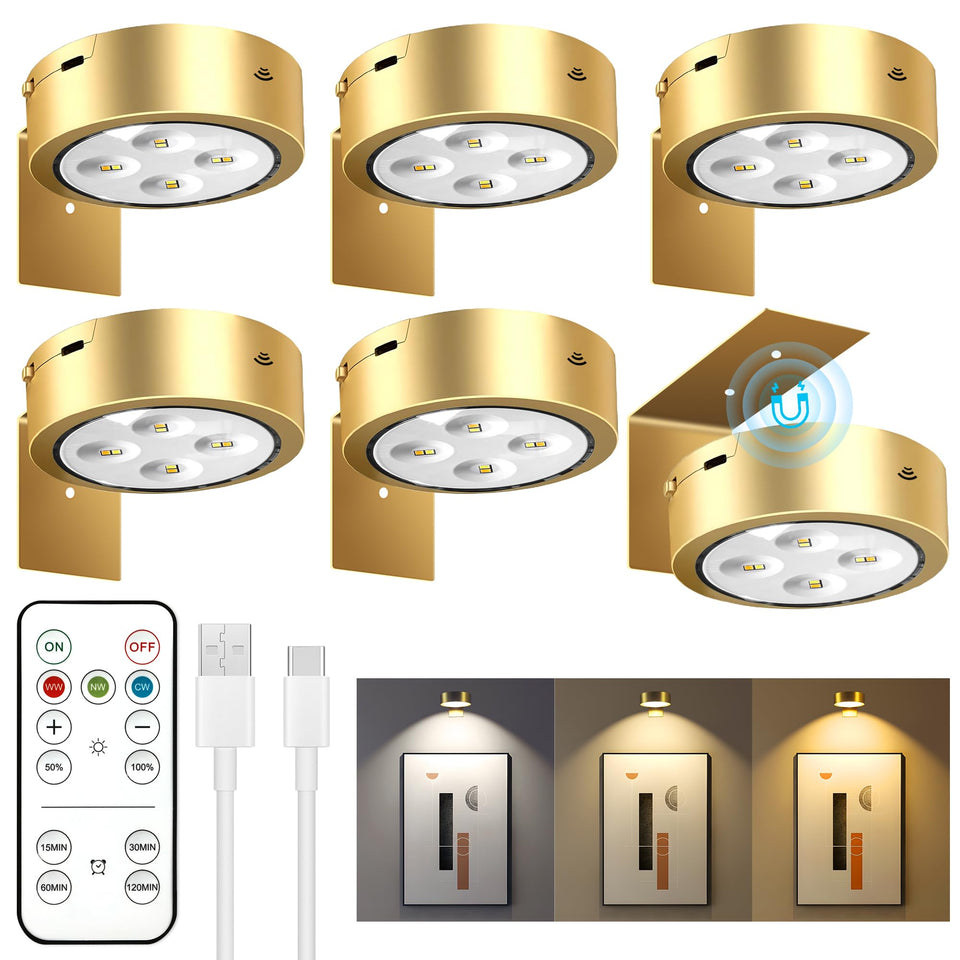 Maylit 6-pack rechargeable picture light over framed art with battery-powered convenience.