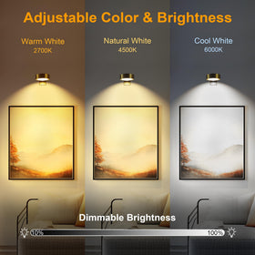 Maylit remote control demonstrates easy brightness and color temperature adjustment.