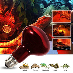 MCLANZOO versatile reptile setup for lizards, turtles, snakes