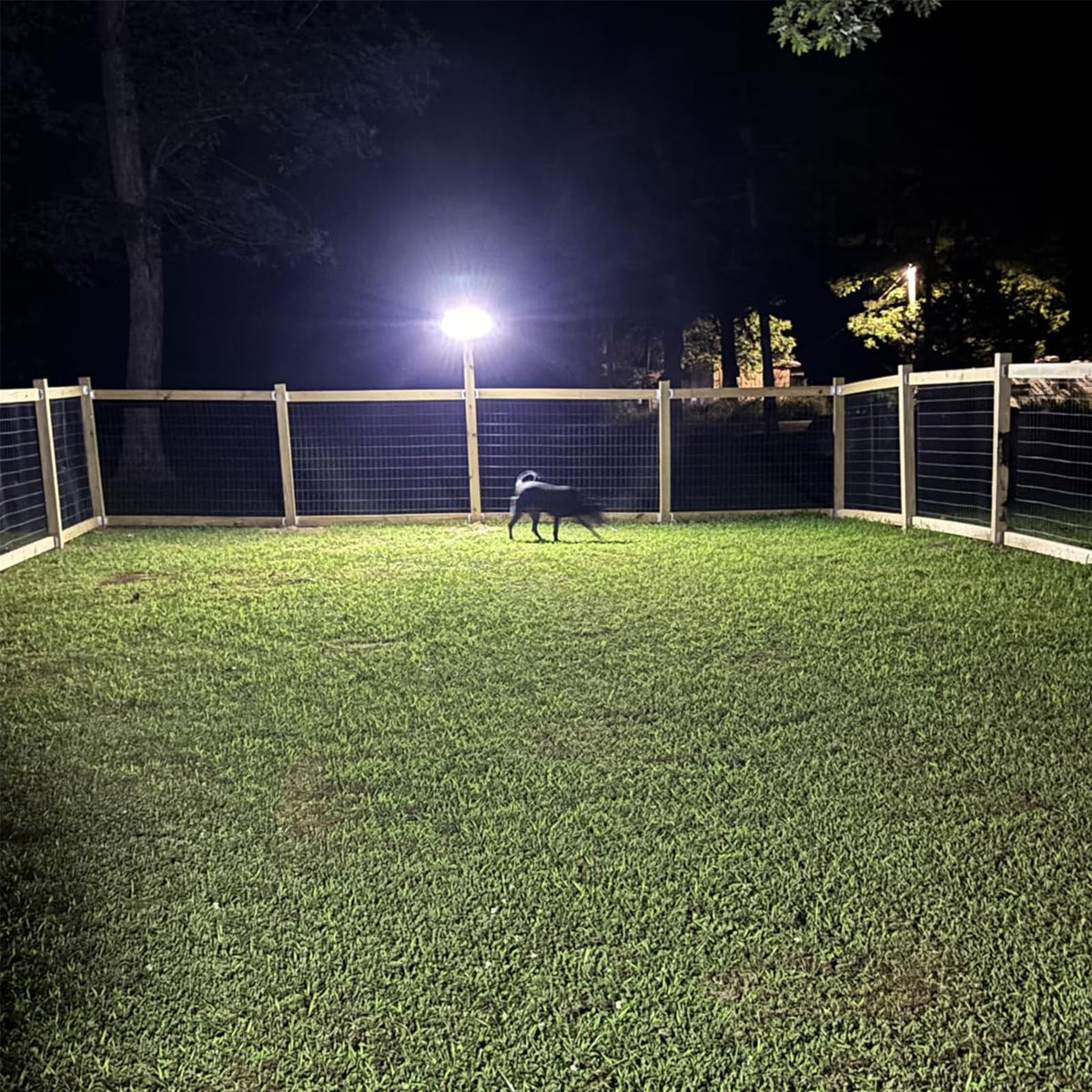 MDCMDCM outdoor solar flood lights ideal for yards and entrances