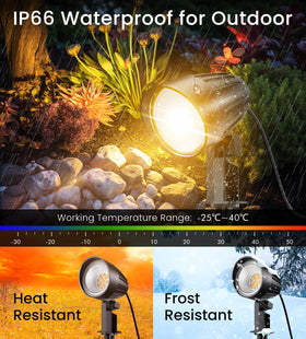 MEIKEE 7W warm white beam highlights trees and walls along walkways.