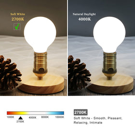 Meilux G25 bathroom ambient globe provides steady warm illumination