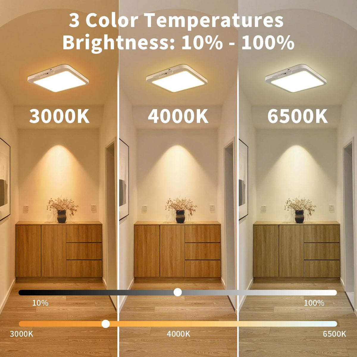 Meliya 550 lumens ceiling light with 3 color temps for versatile day and night spaces.
