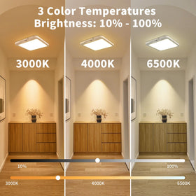 Meliya 550 lumens ceiling light with 3 color temps for versatile day and night spaces.