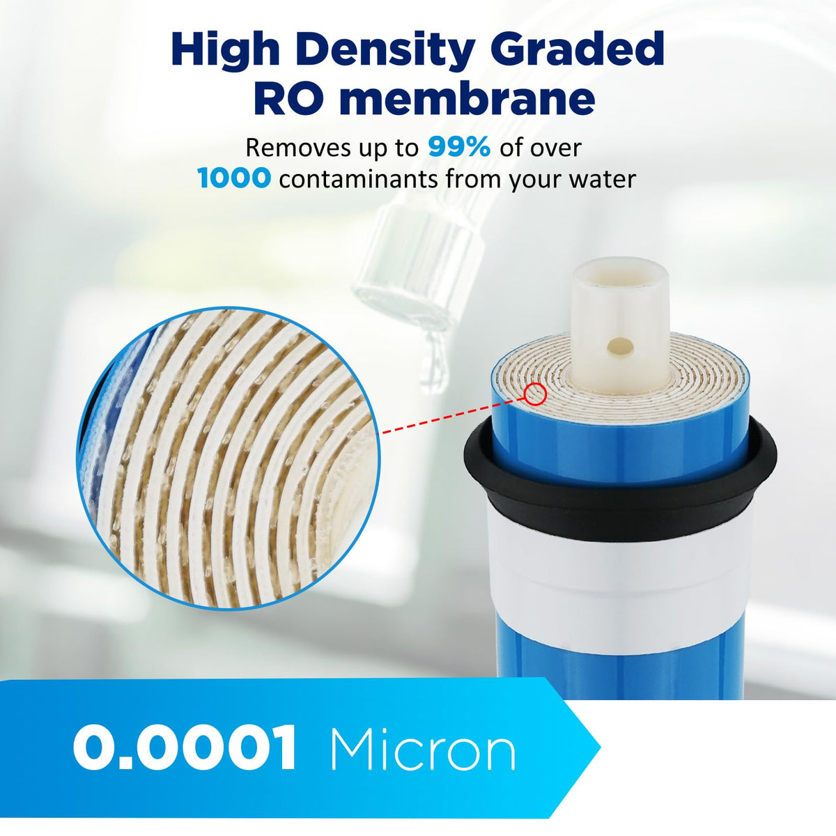 Membrane Solutions long lifespan concept showing 24–36 months in typical homes.