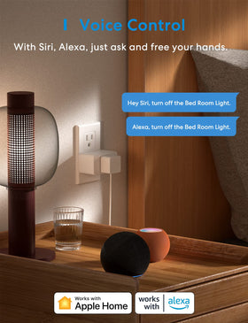 meross Smart Plug Mini with voice control demonstrates Siri and Alexa compatibility for automation.