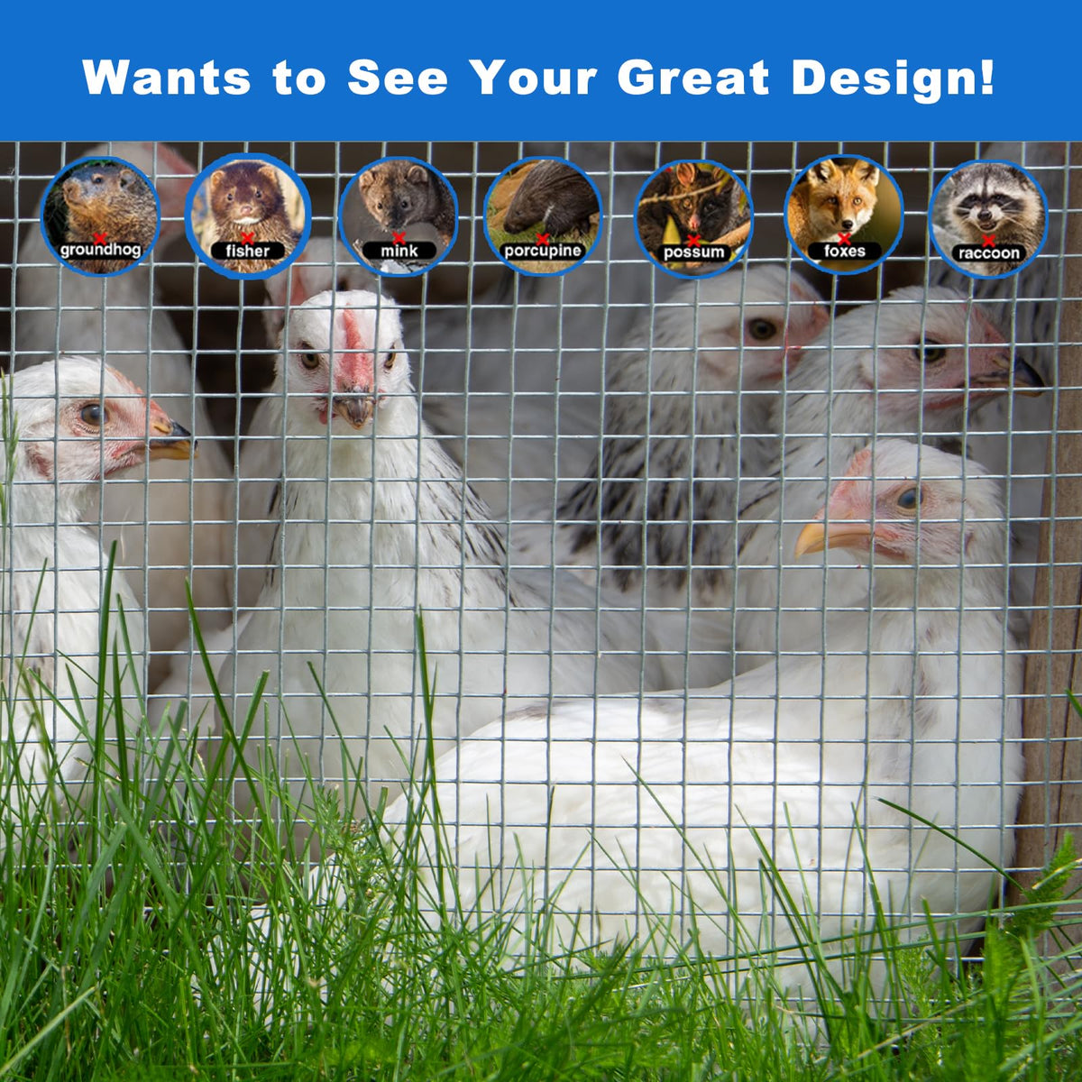 Metamesh chicken-coop fence setup securing pens and runs