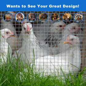 Metamesh chicken-coop fence setup securing pens and runs