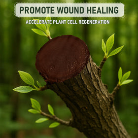 Meuvcol bark protection layer shields exposed wood from rain and wind