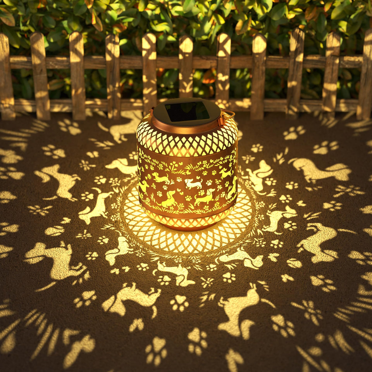 Miggley Dachshund Garden Solar Lantern casts playful shadows on outdoor plants at dusk.