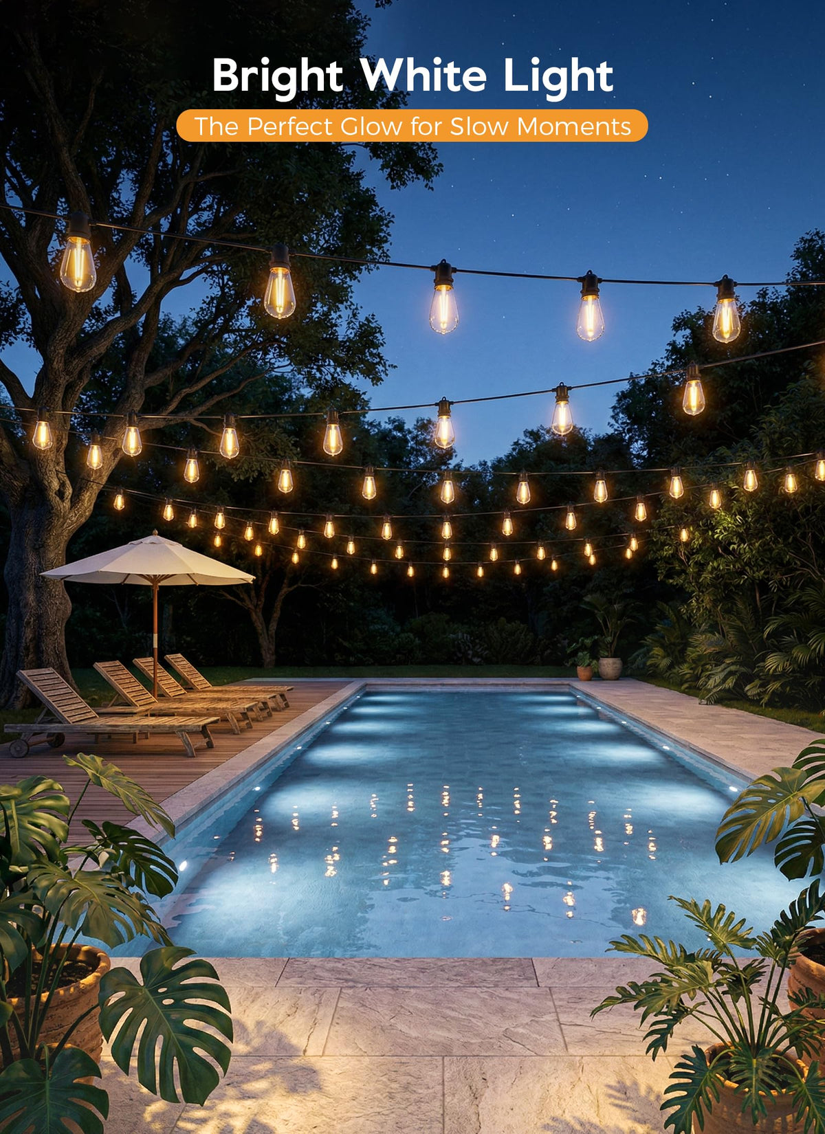 Minetom night garden ambience demonstrates cozy, energy-efficient lighting